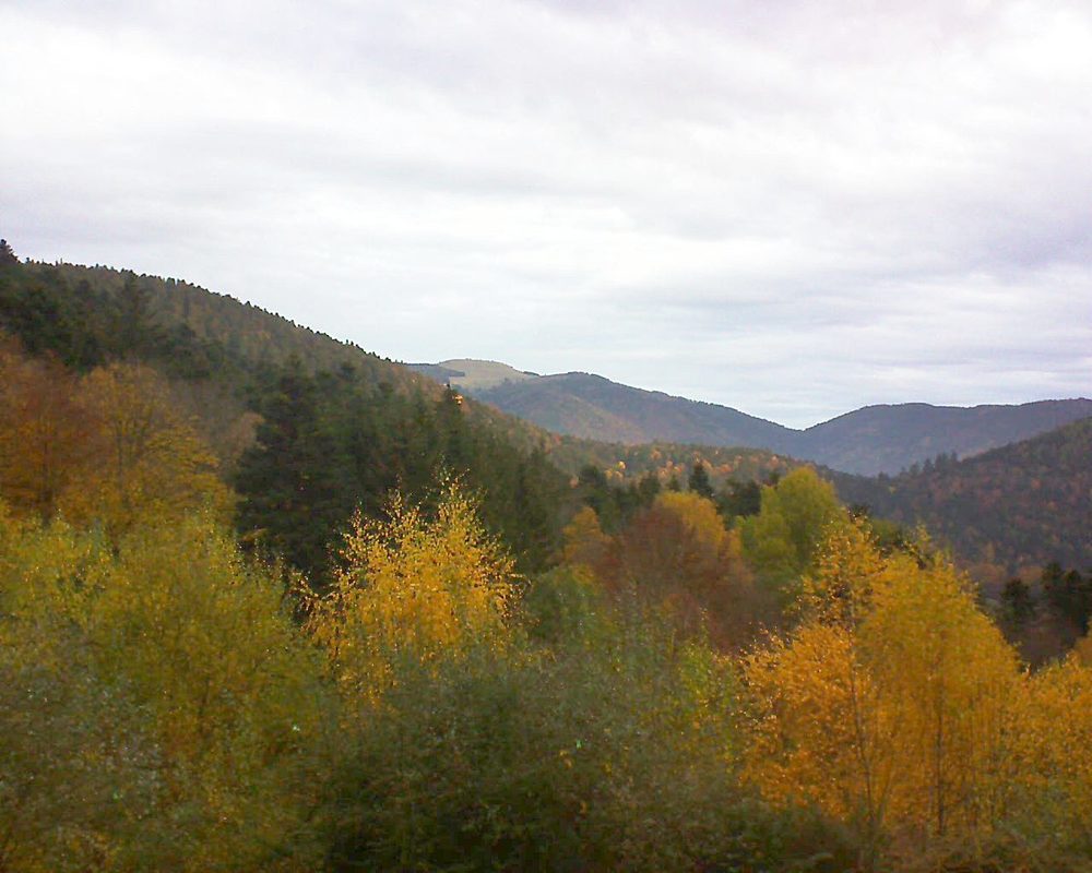 Le petit ballon vu depuis le Domaine Langmatt à Murbach le 10.11.2018 à 07:45 Le petit ballon (Alsace, Vosges) le 10.11.2018 à 07:45