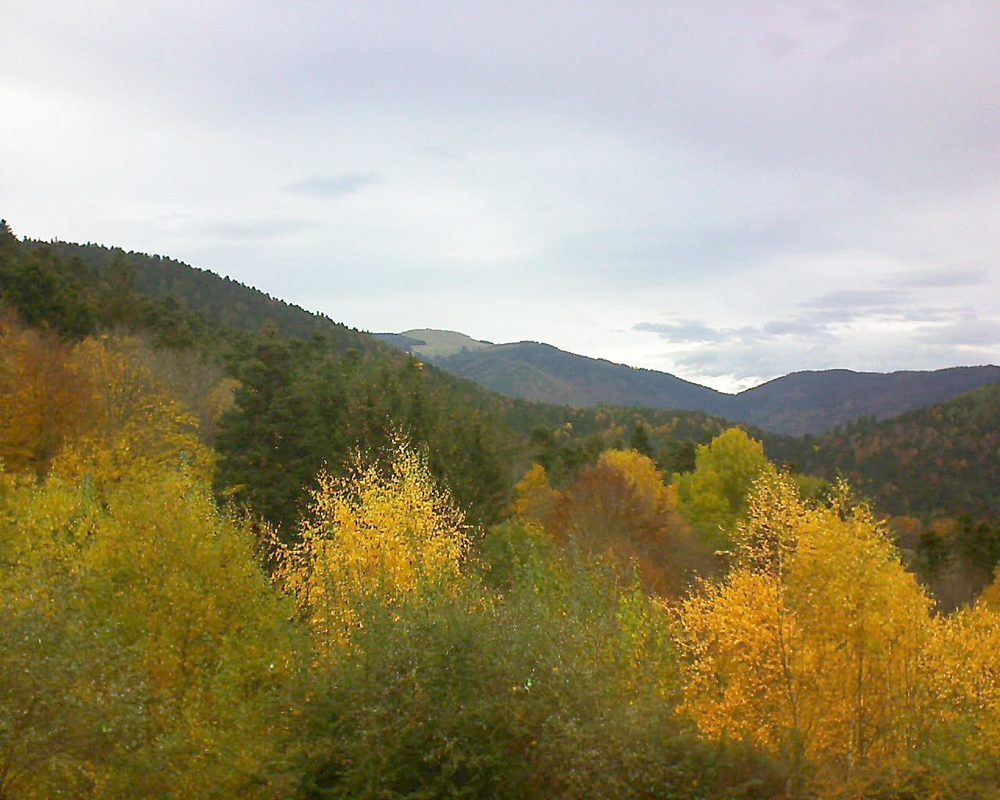 Le petit ballon vu depuis le Domaine Langmatt à Murbach le 10.11.2018 à 10:30 Le petit ballon (Alsace, Vosges) le 10.11.2018 à 10:30