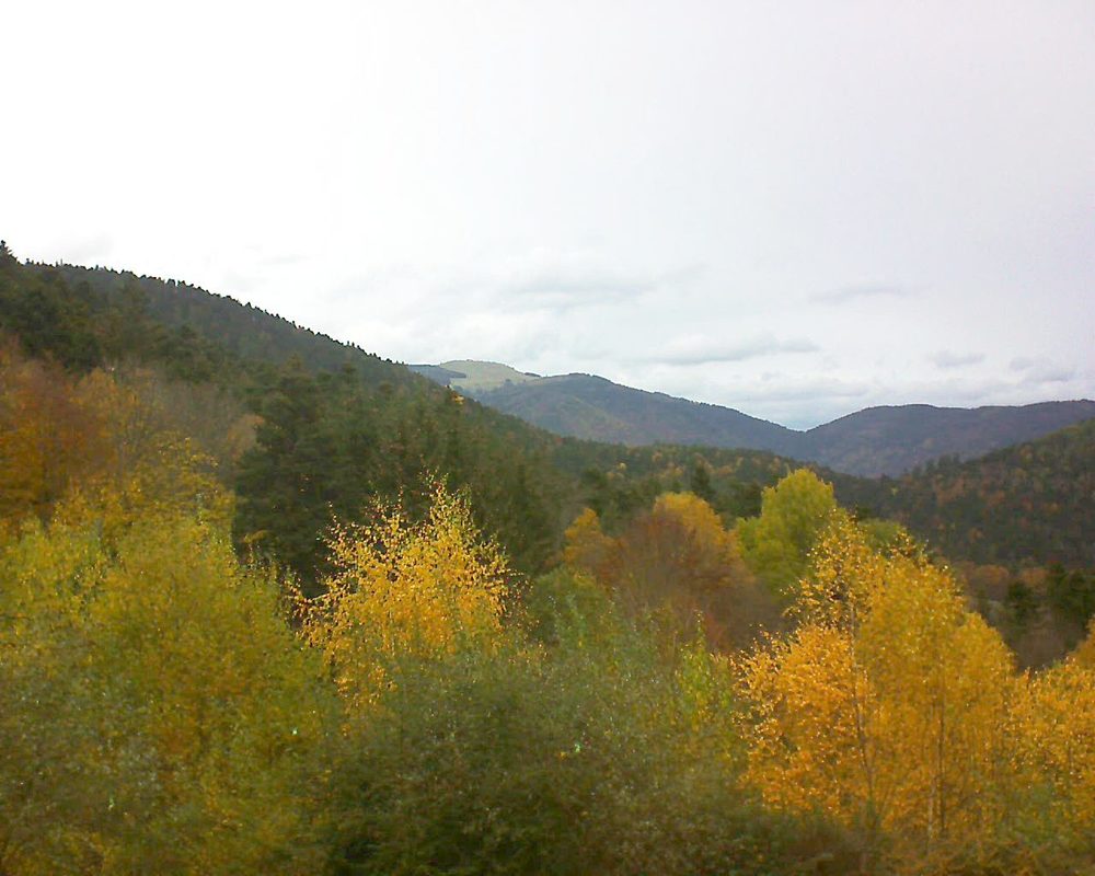 Le petit ballon vu depuis le Domaine Langmatt à Murbach le 10.11.2018 à 11:15 Le petit ballon (Alsace, Vosges) le 10.11.2018 à 11:15