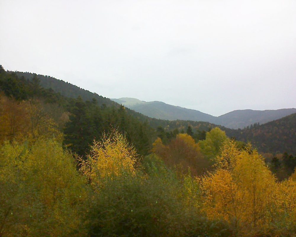 Le petit ballon vu depuis le Domaine Langmatt à Murbach le 10.11.2018 à 14:15 Le petit ballon (Alsace, Vosges) le 10.11.2018 à 14:15