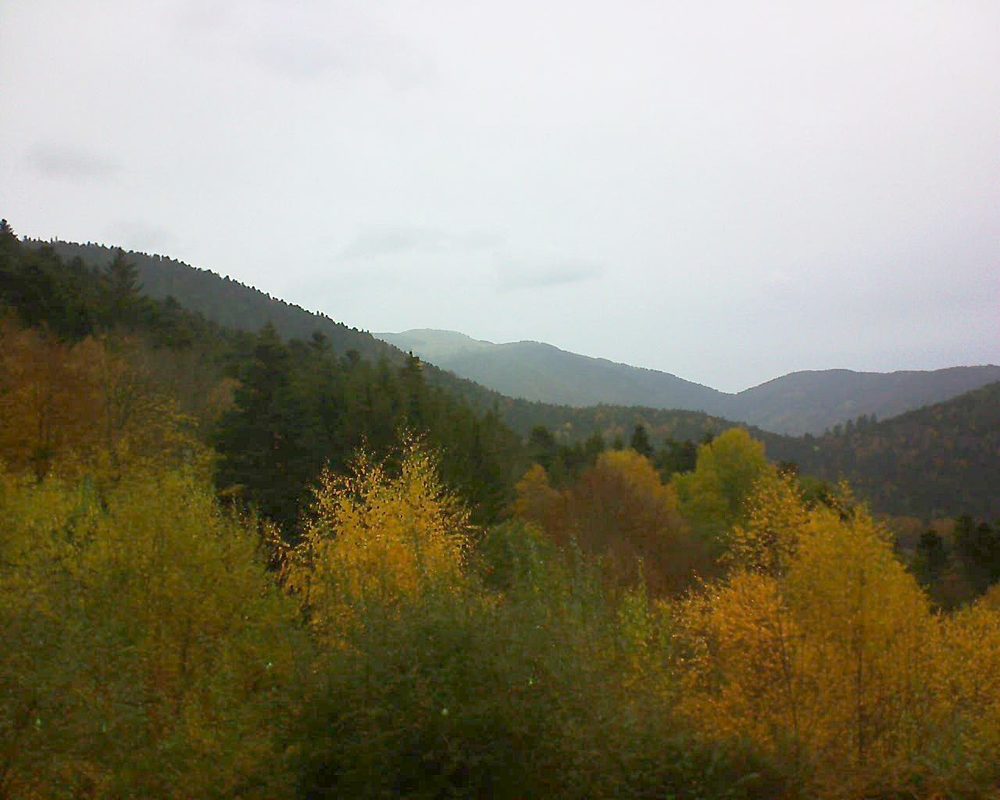Le petit ballon vu depuis le Domaine Langmatt à Murbach le 10.11.2018 à 14:30 Le petit ballon (Alsace, Vosges) le 10.11.2018 à 14:30