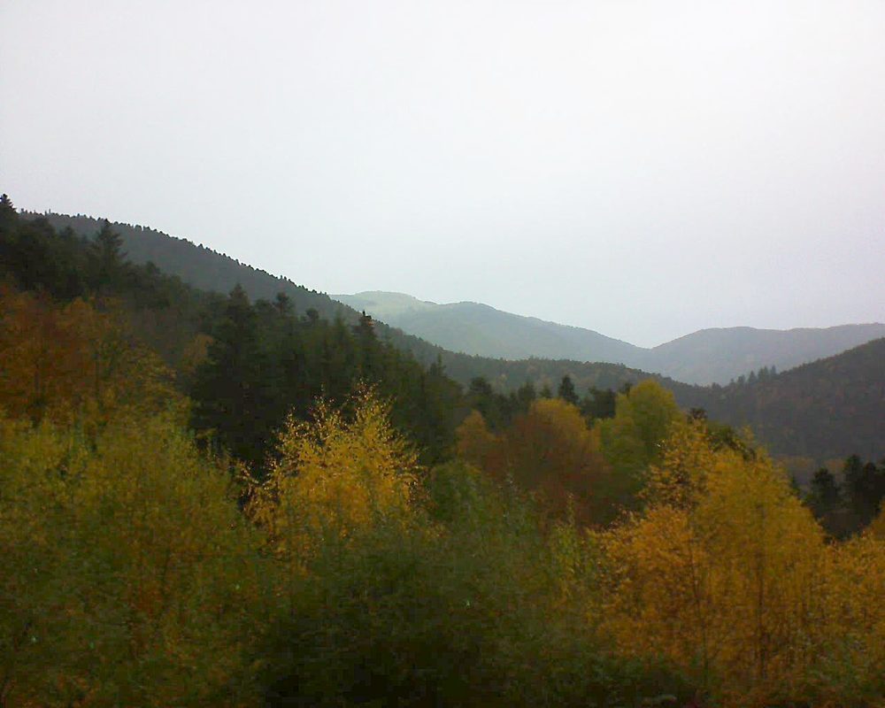 Le petit ballon vu depuis le Domaine Langmatt à Murbach le 10.11.2018 à 14:45 Le petit ballon (Alsace, Vosges) le 10.11.2018 à 14:45