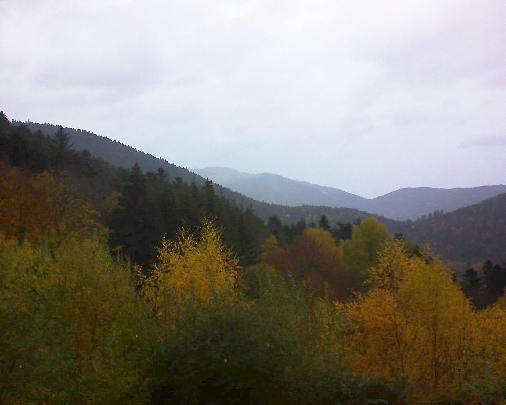 Le petit ballon vu depuis le Domaine Langmatt à Murbach le 10.11.2018 à 15:45 Le petit ballon (Alsace, Vosges) le 10.11.2018 à 15:45
