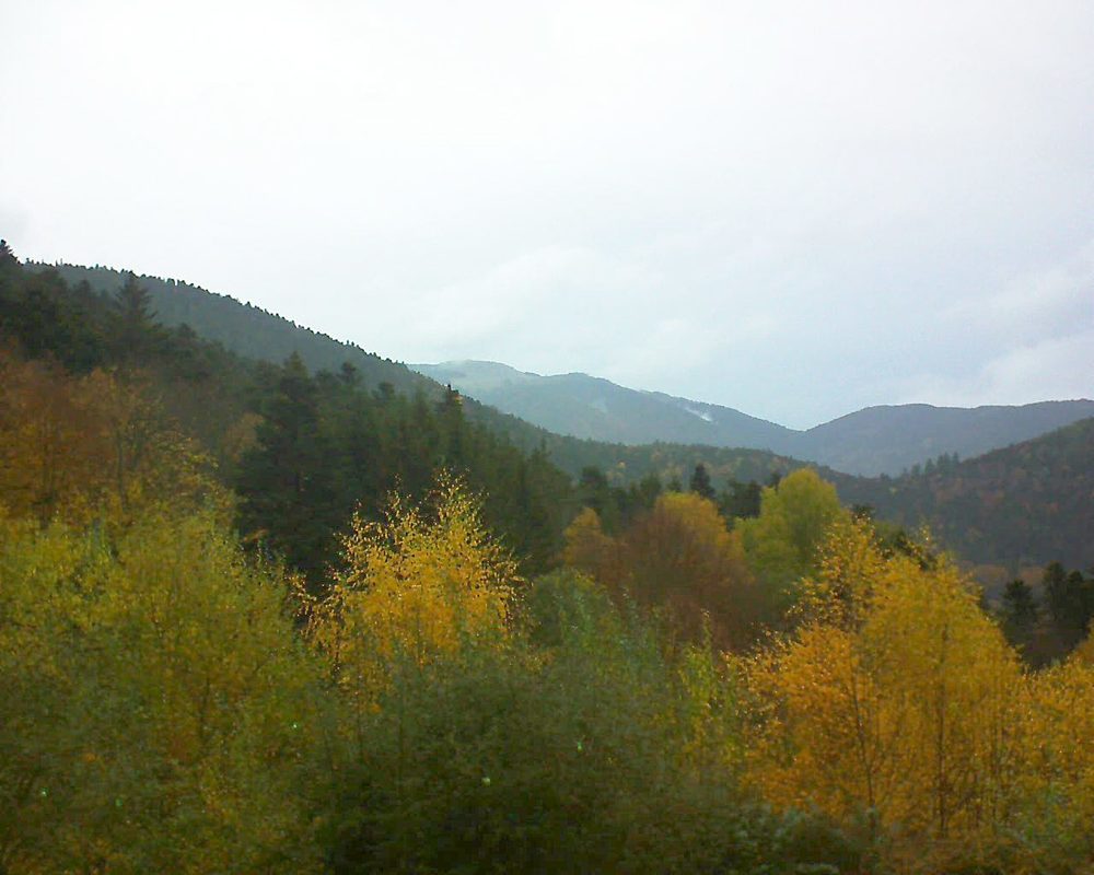 Le petit ballon vu depuis le Domaine Langmatt à Murbach le 10.11.2018 à 16:30 Le petit ballon (Alsace, Vosges) le 10.11.2018 à 16:30