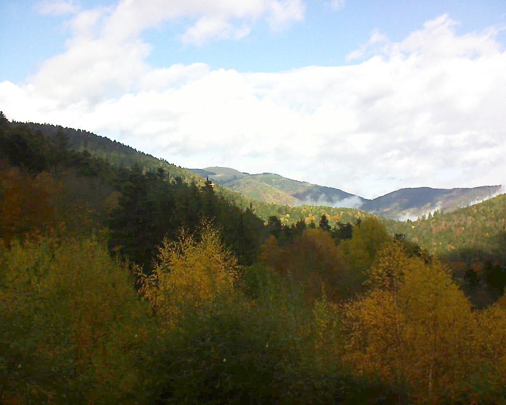 Le petit ballon vu depuis le Domaine Langmatt à Murbach le 11.11.2018 à 12:30 Le petit ballon (Alsace, Vosges) le 11.11.2018 à 12:30
