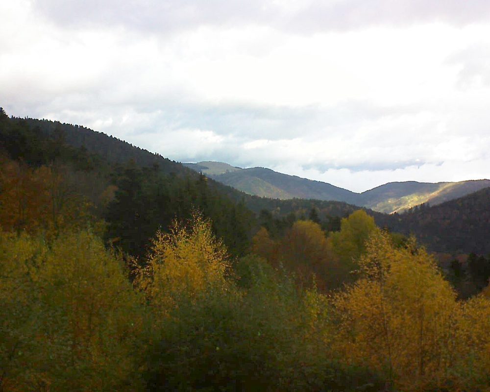 Le petit ballon vu depuis le Domaine Langmatt à Murbach le 11.11.2018 à 14:30 Le petit ballon (Alsace, Vosges) le 11.11.2018 à 14:30