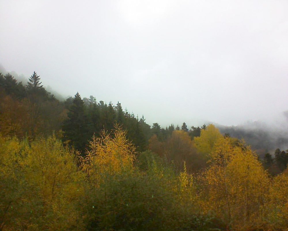 Le petit ballon vu depuis le Domaine Langmatt à Murbach le 13.11.2018 à 11:15 Le petit ballon (Alsace, Vosges) le 13.11.2018 à 11:15