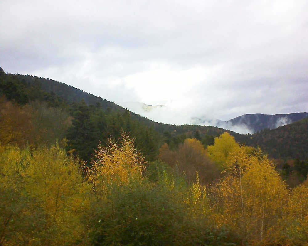 Le petit ballon vu depuis le Domaine Langmatt à Murbach le 13.11.2018 à 12:15 Le petit ballon (Alsace, Vosges) le 13.11.2018 à 12:15