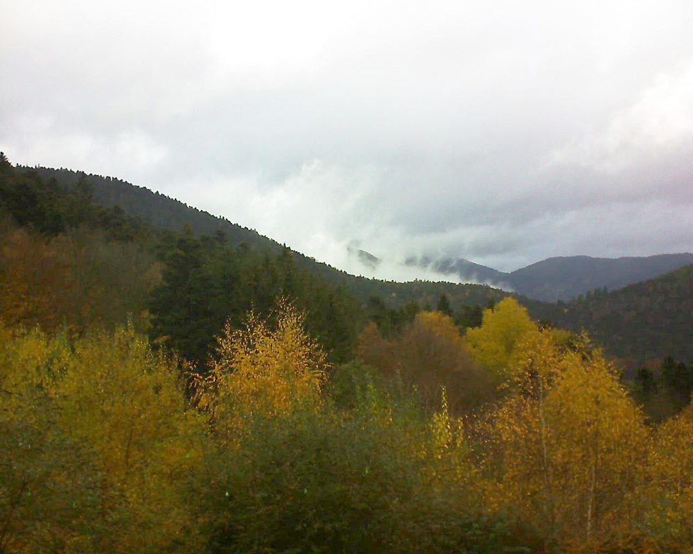 Le petit ballon vu depuis le Domaine Langmatt à Murbach le 13.11.2018 à 13:15 Le petit ballon (Alsace, Vosges) le 13.11.2018 à 13:15