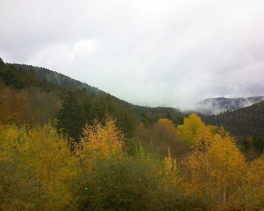 Le petit ballon vu depuis le Domaine Langmatt à Murbach le 13.11.2018 à 13:30 Le petit ballon (Alsace, Vosges) le 13.11.2018 à 13:30