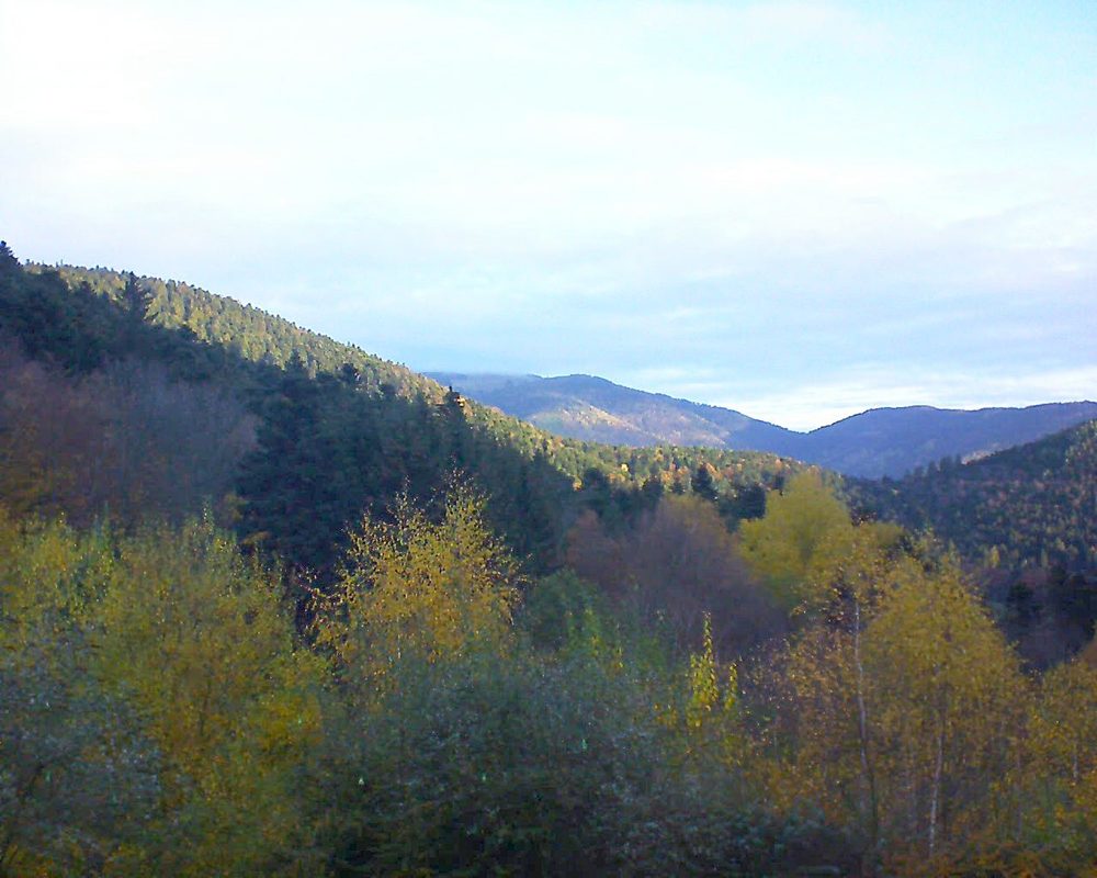 Le petit ballon vu depuis le Domaine Langmatt à Murbach le 14.11.2018 à 08:00 Le petit ballon (Alsace, Vosges) le 14.11.2018 à 08:00