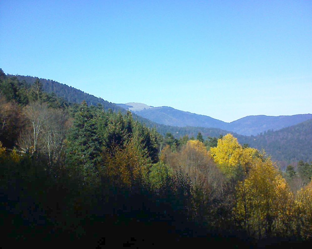 Le petit ballon vu depuis le Domaine Langmatt à Murbach le 14.11.2018 à 13:30 Le petit ballon (Alsace, Vosges) le 14.11.2018 à 13:30