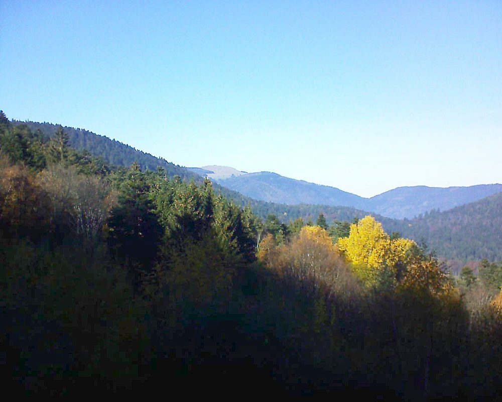 Le petit ballon vu depuis le Domaine Langmatt à Murbach le 14.11.2018 à 13:45 Le petit ballon (Alsace, Vosges) le 14.11.2018 à 13:45