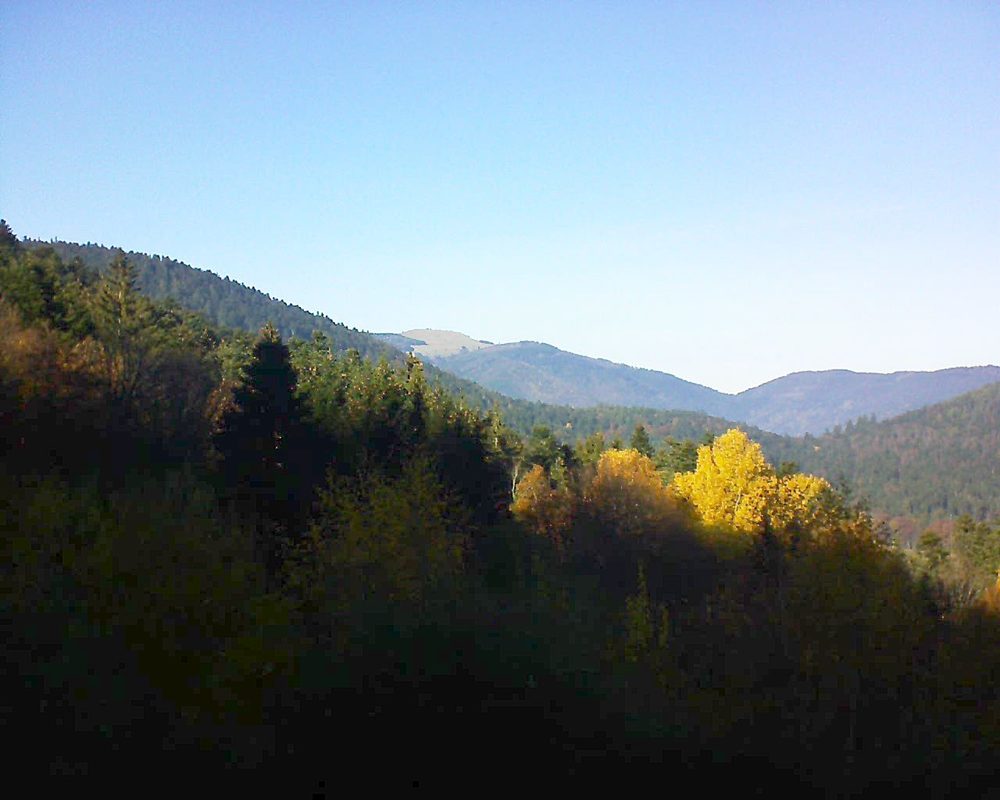Le petit ballon vu depuis le Domaine Langmatt à Murbach le 14.11.2018 à 14:00 Le petit ballon (Alsace, Vosges) le 14.11.2018 à 14:00