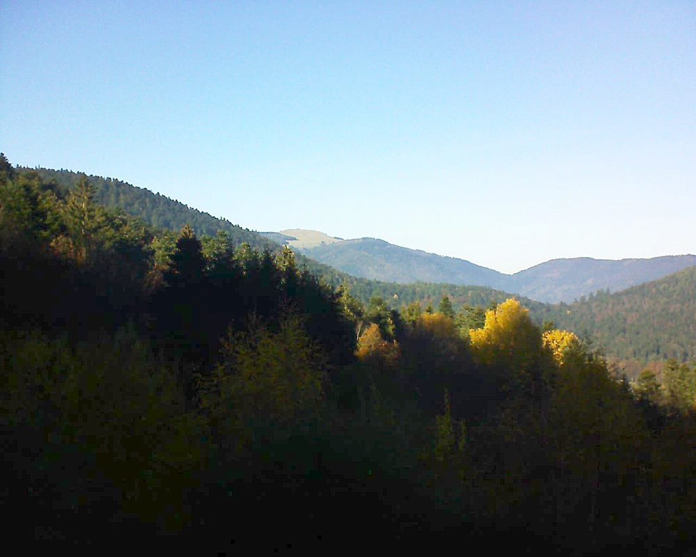 Le petit ballon vu depuis le Domaine Langmatt à Murbach le 14.11.2018 à 14:15 Le petit ballon (Alsace, Vosges) le 14.11.2018 à 14:15