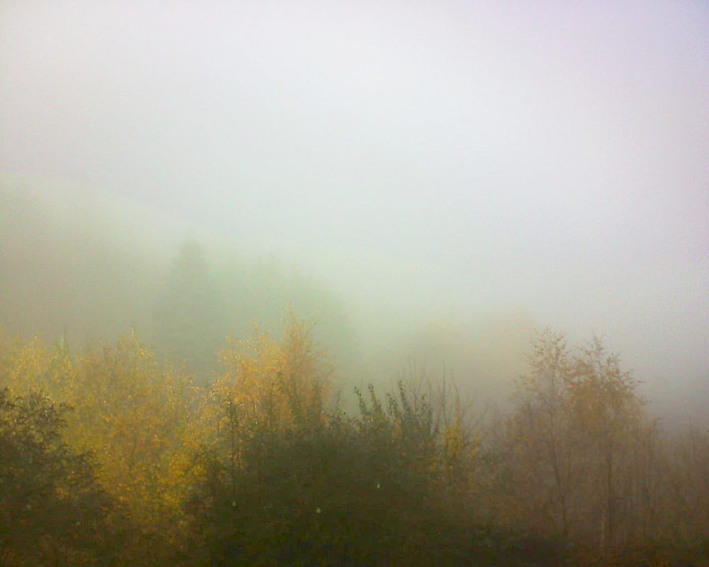 Le petit ballon vu depuis le Domaine Langmatt à Murbach le 15.11.2018 à 11:15 Le petit ballon (Alsace, Vosges) le 15.11.2018 à 11:15
