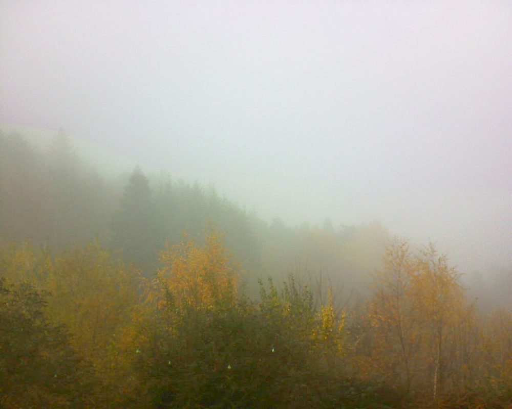 Le petit ballon vu depuis le Domaine Langmatt à Murbach le 15.11.2018 à 13:15 Le petit ballon (Alsace, Vosges) le 15.11.2018 à 13:15
