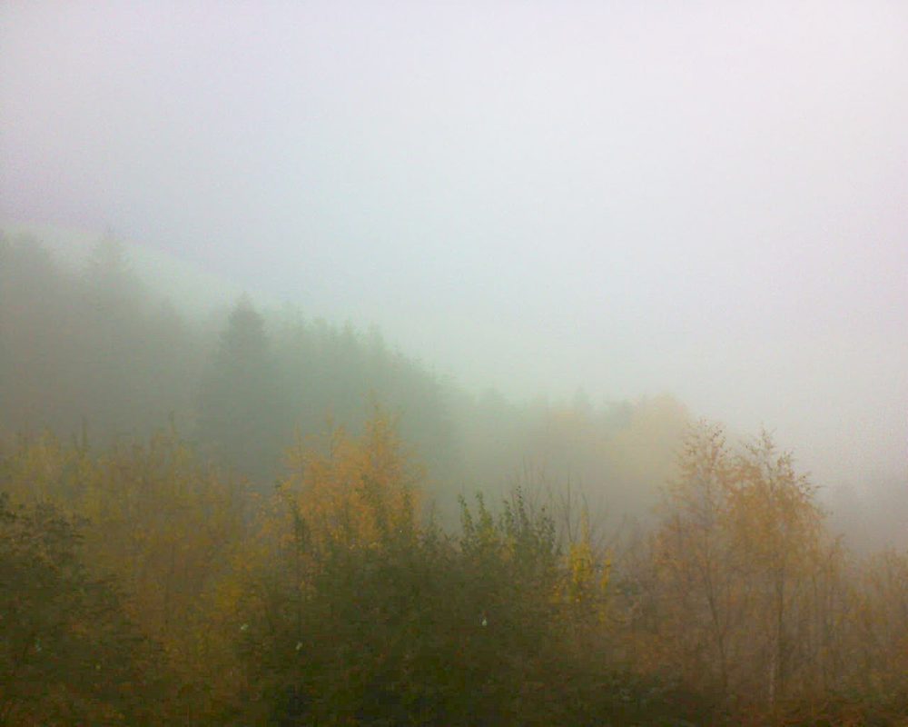 Le petit ballon vu depuis le Domaine Langmatt à Murbach le 15.11.2018 à 13:45 Le petit ballon (Alsace, Vosges) le 15.11.2018 à 13:45