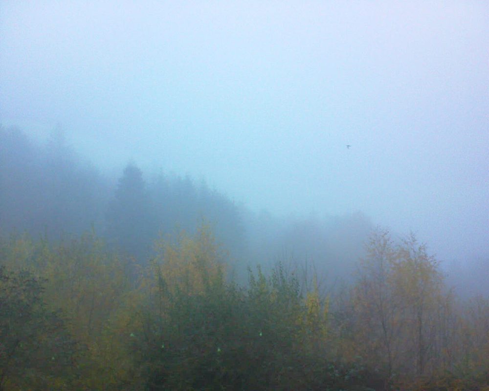 Le petit ballon vu depuis le Domaine Langmatt à Murbach le 15.11.2018 à 15:45 Le petit ballon (Alsace, Vosges) le 15.11.2018 à 15:45