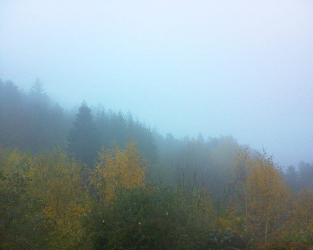 Le petit ballon vu depuis le Domaine Langmatt à Murbach le 16.11.2018 à 16:00 Le petit ballon (Alsace, Vosges) le 16.11.2018 à 16:00