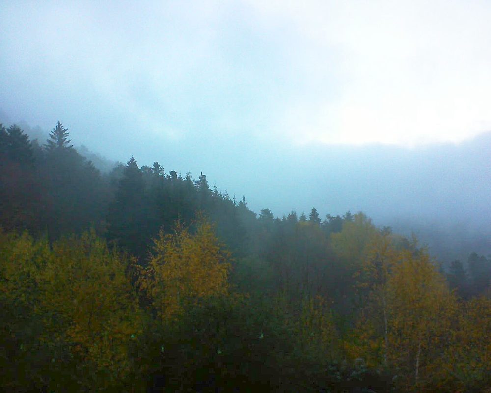 Le petit ballon vu depuis le Domaine Langmatt à Murbach le 16.11.2018 à 16:30 Le petit ballon (Alsace, Vosges) le 16.11.2018 à 16:30