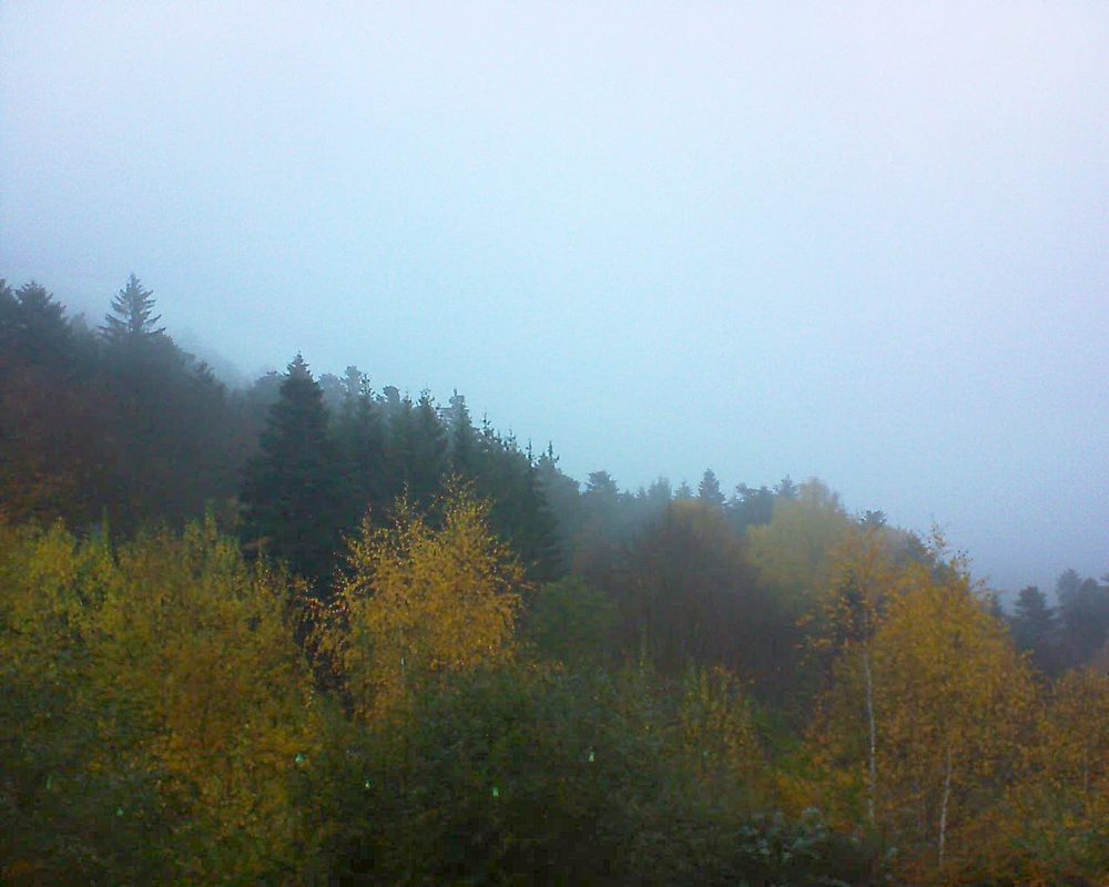 Le petit ballon vu depuis le Domaine Langmatt à Murbach le 16.11.2018 à 16:45 Le petit ballon (Alsace, Vosges) le 16.11.2018 à 16:45