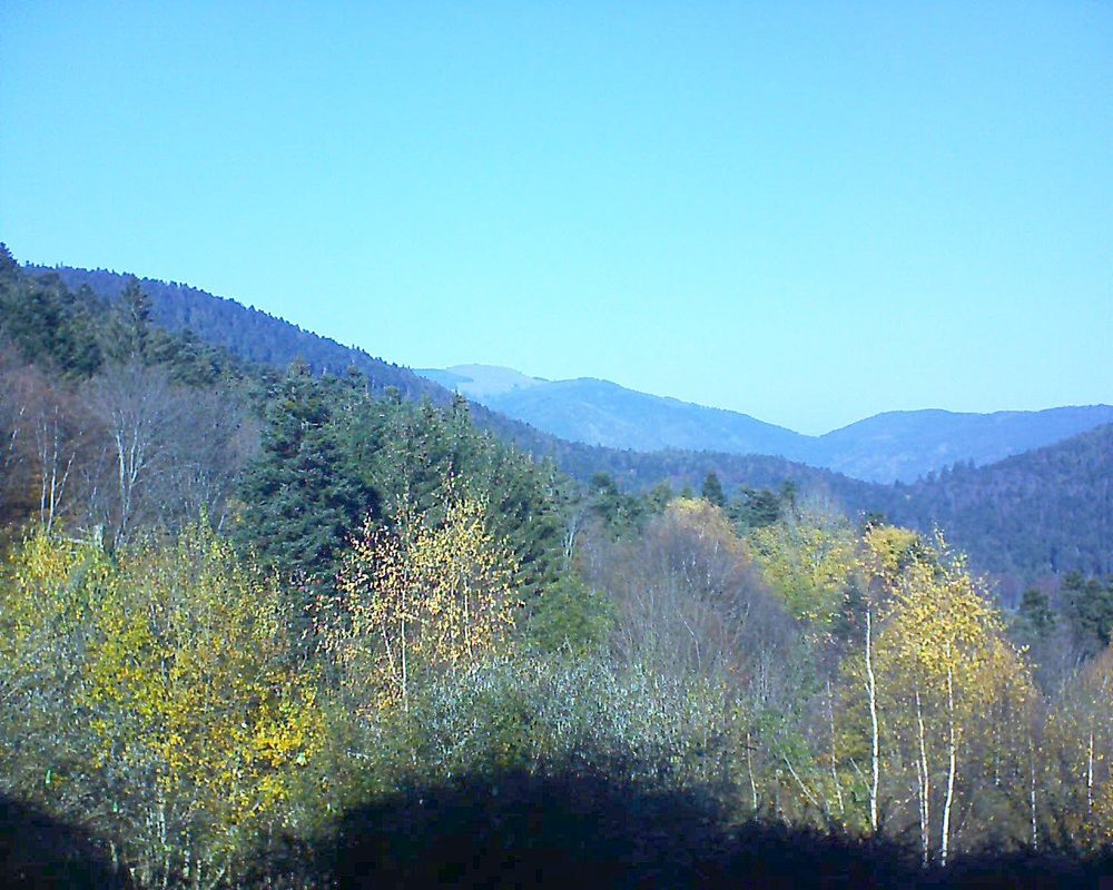 Le petit ballon vu depuis le Domaine Langmatt à Murbach le 18.11.2018 à 12:30 Le petit ballon (Alsace, Vosges) le 18.11.2018 à 12:30