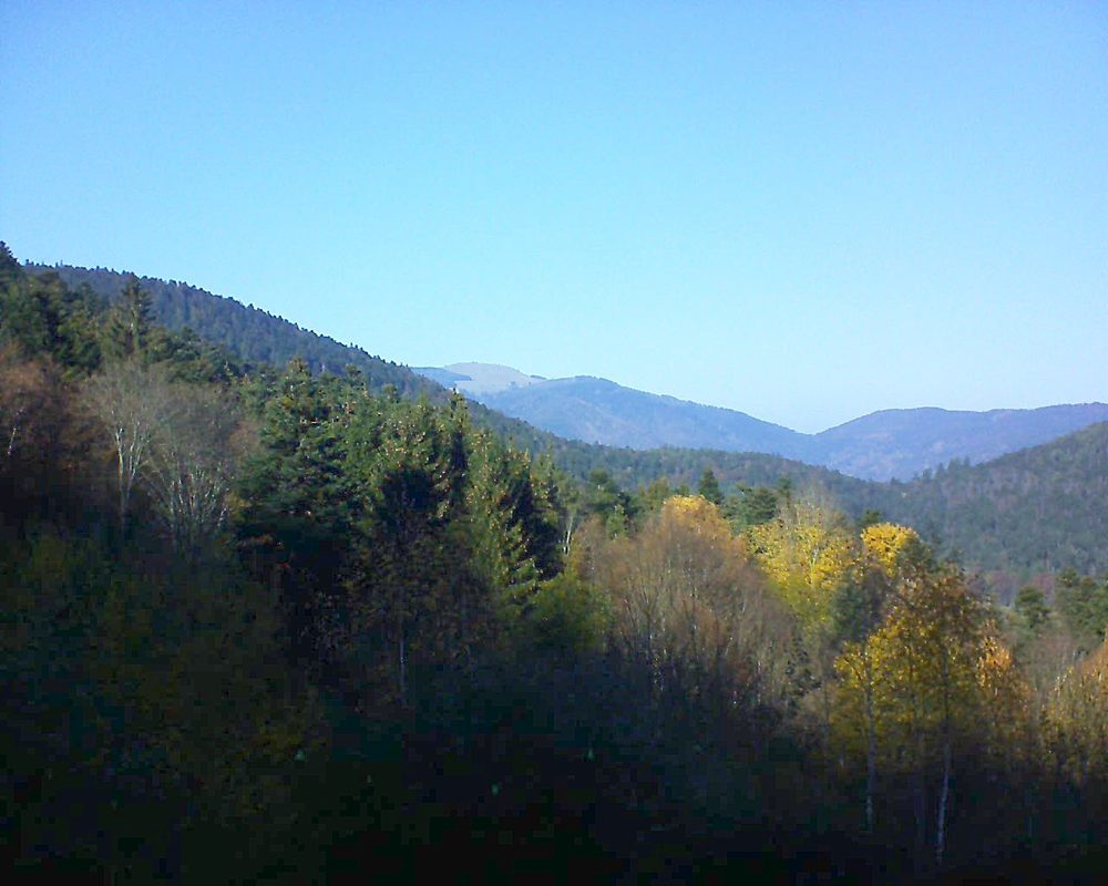 Le petit ballon vu depuis le Domaine Langmatt à Murbach le 18.11.2018 à 13:30 Le petit ballon (Alsace, Vosges) le 18.11.2018 à 13:30