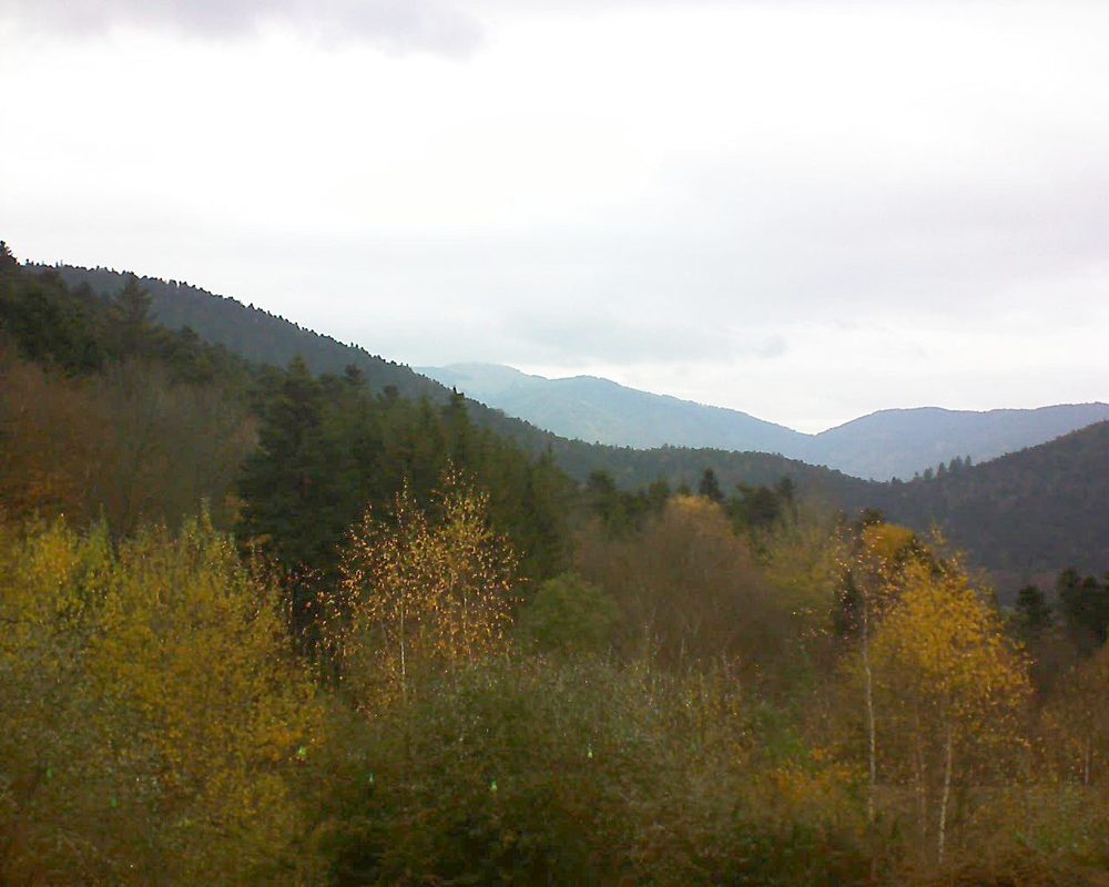 Le petit ballon vu depuis le Domaine Langmatt à Murbach le 19.11.2018 à 11:30 Le petit ballon (Alsace, Vosges) le 19.11.2018 à 11:30