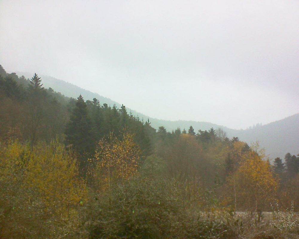 Le petit ballon vu depuis le Domaine Langmatt à Murbach le 19.11.2018 à 15:30 Le petit ballon (Alsace, Vosges) le 19.11.2018 à 15:30