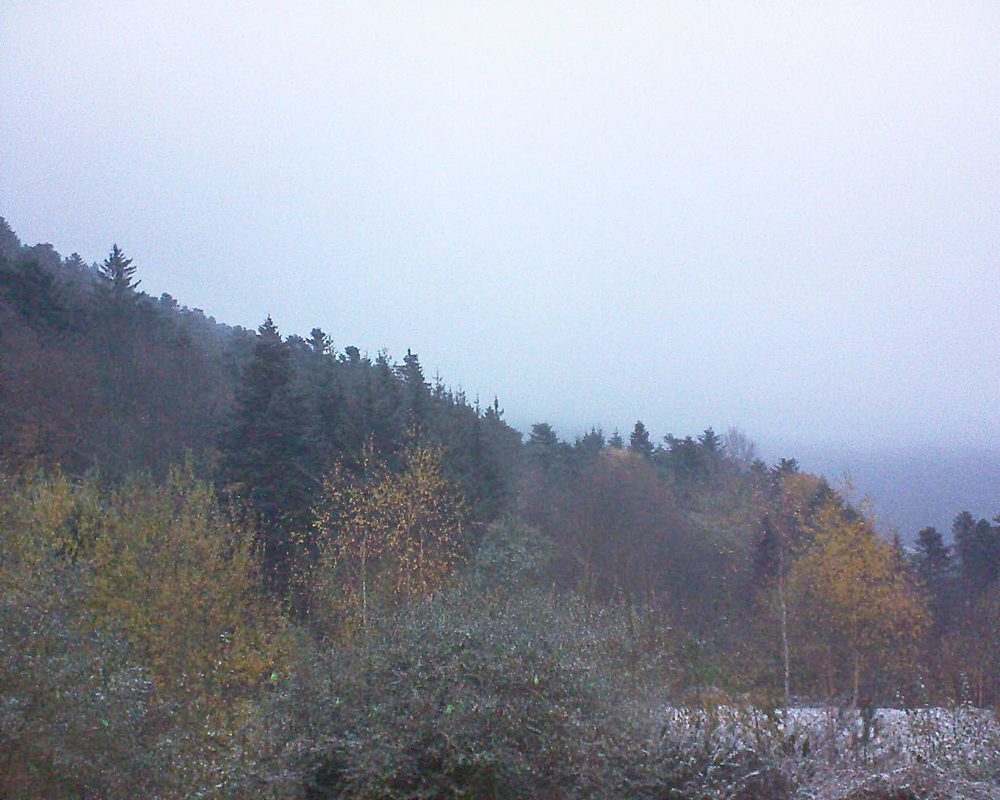 Le petit ballon vu depuis le Domaine Langmatt à Murbach le 19.11.2018 à 16:30 Le petit ballon (Alsace, Vosges) le 19.11.2018 à 16:30