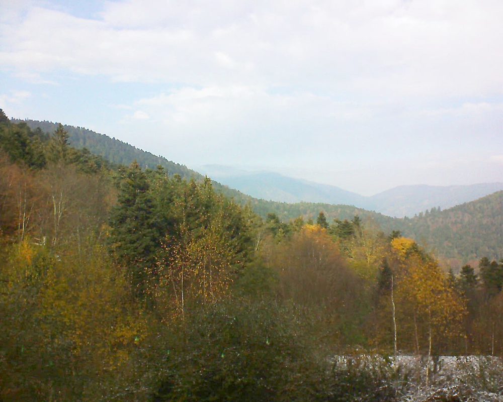 Le petit ballon vu depuis le Domaine Langmatt à Murbach le 20.11.2018 à 12:45 Le petit ballon (Alsace, Vosges) le 20.11.2018 à 12:45