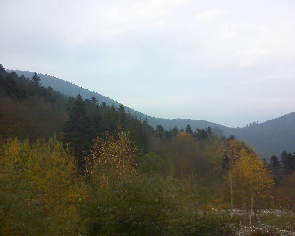 Le petit ballon vu depuis le Domaine Langmatt à Murbach le 20.11.2018 à 15:30 Le petit ballon (Alsace, Vosges) le 20.11.2018 à 15:30