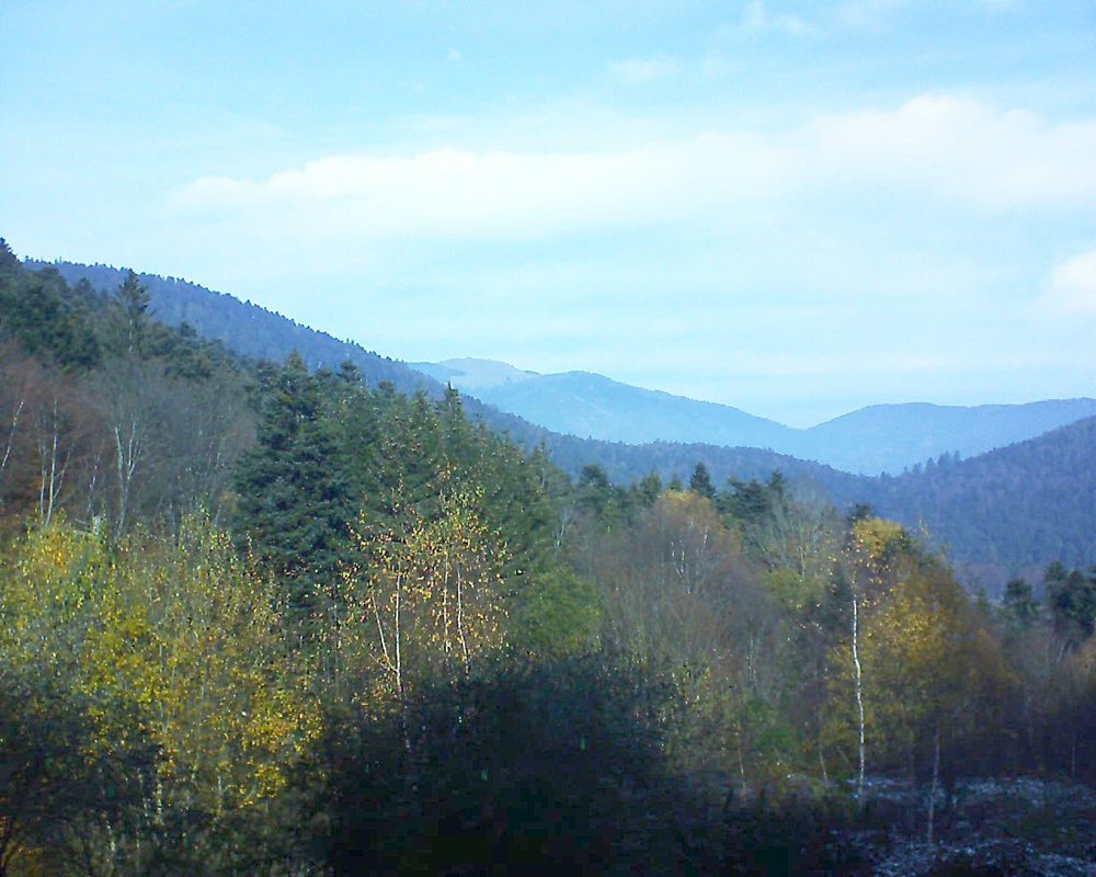 Le petit ballon vu depuis le Domaine Langmatt à Murbach le 21.11.2018 à 11:45 Le petit ballon (Alsace, Vosges) le 21.11.2018 à 11:45