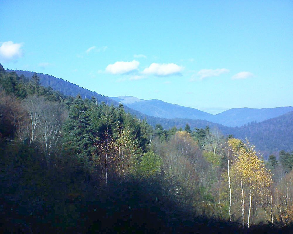 Le petit ballon vu depuis le Domaine Langmatt à Murbach le 22.11.2018 à 13:15 Le petit ballon (Alsace, Vosges) le 22.11.2018 à 13:15