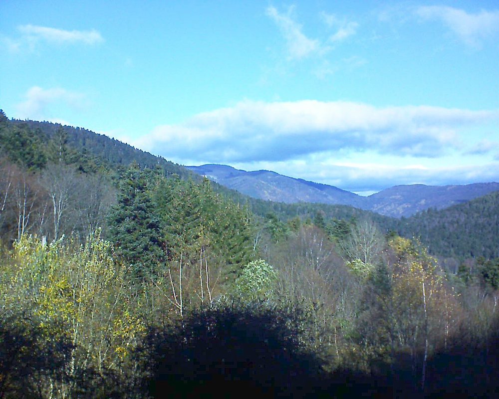 Le petit ballon vu depuis le Domaine Langmatt à Murbach le 24.11.2018 à 12:00 Le petit ballon (Alsace, Vosges) le 24.11.2018 à 12:00