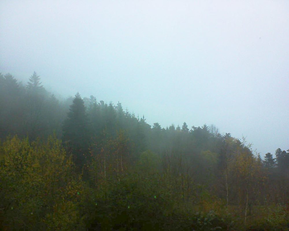 Le petit ballon vu depuis le Domaine Langmatt à Murbach le 27.11.2018 à 15:45 Le petit ballon (Alsace, Vosges) le 27.11.2018 à 15:45