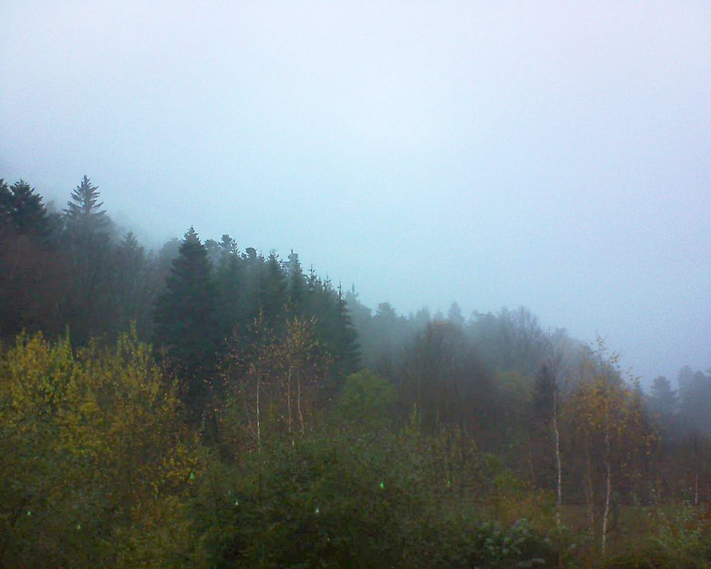 Le petit ballon vu depuis le Domaine Langmatt à Murbach le 27.11.2018 à 16:15 Le petit ballon (Alsace, Vosges) le 27.11.2018 à 16:15