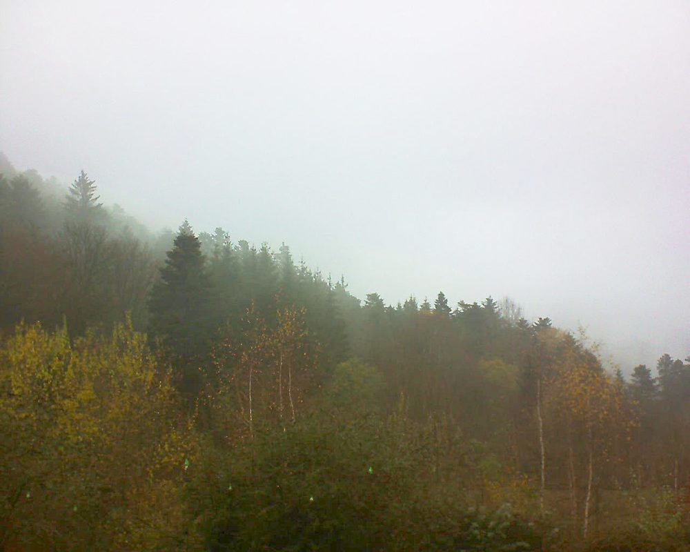 Le petit ballon vu depuis le Domaine Langmatt à Murbach le 28.11.2018 à 12:45 Le petit ballon (Alsace, Vosges) le 28.11.2018 à 12:45