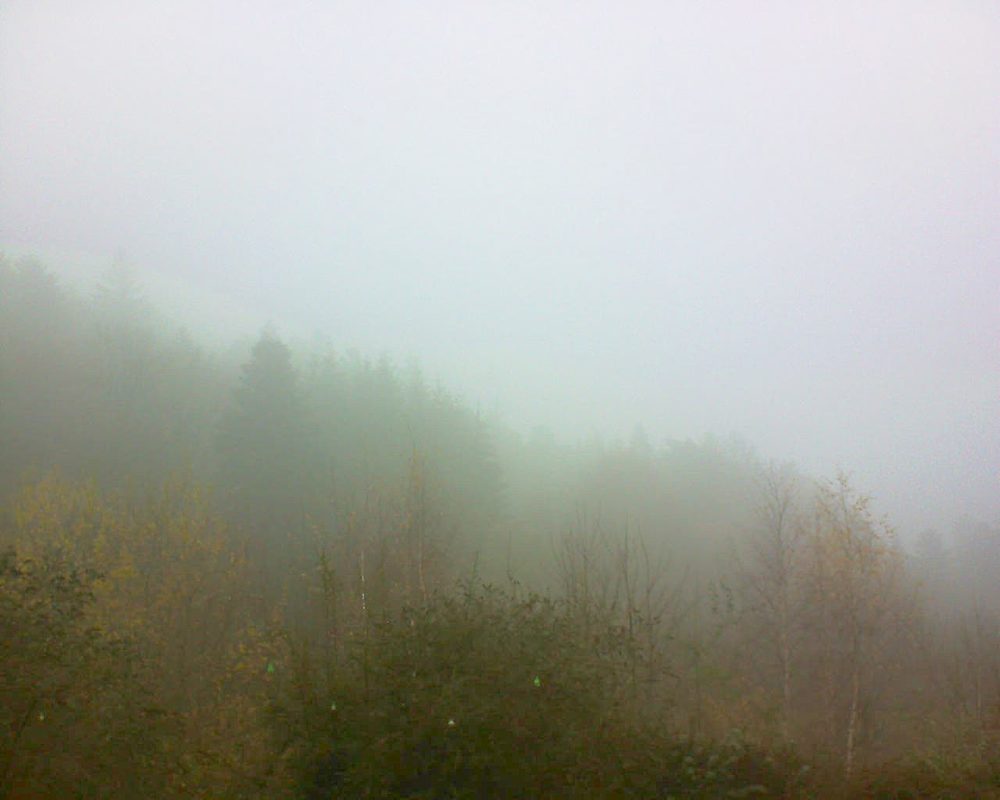 Le petit ballon vu depuis le Domaine Langmatt à Murbach le 28.11.2018 à 14:15 Le petit ballon (Alsace, Vosges) le 28.11.2018 à 14:15