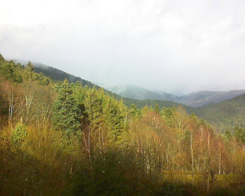 Le petit ballon vu depuis le Domaine Langmatt à Murbach le 10.12.2018 à 12:45 Le petit ballon (Alsace, Vosges) le 10.12.2018 à 12:45