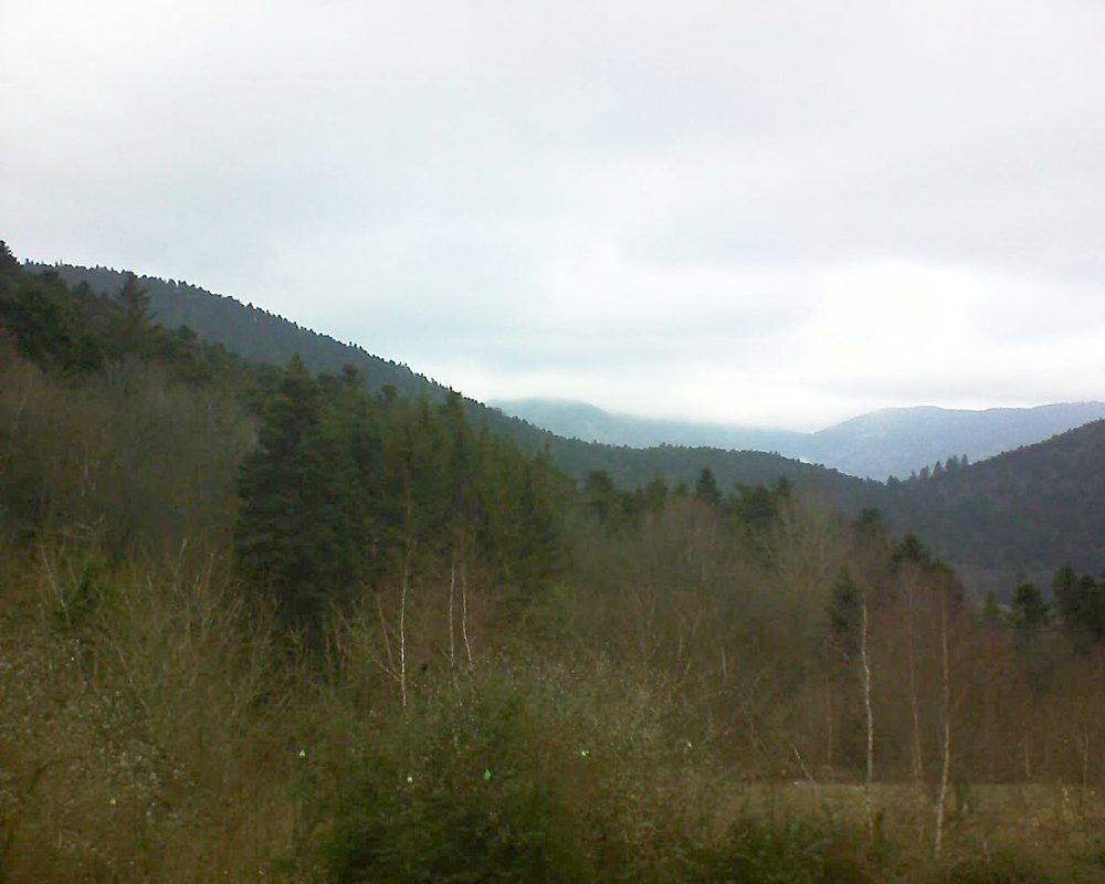 Le petit ballon vu depuis le Domaine Langmatt à Murbach le 12.12.2018 à 13:30 Le petit ballon (Alsace, Vosges) le 12.12.2018 à 13:30