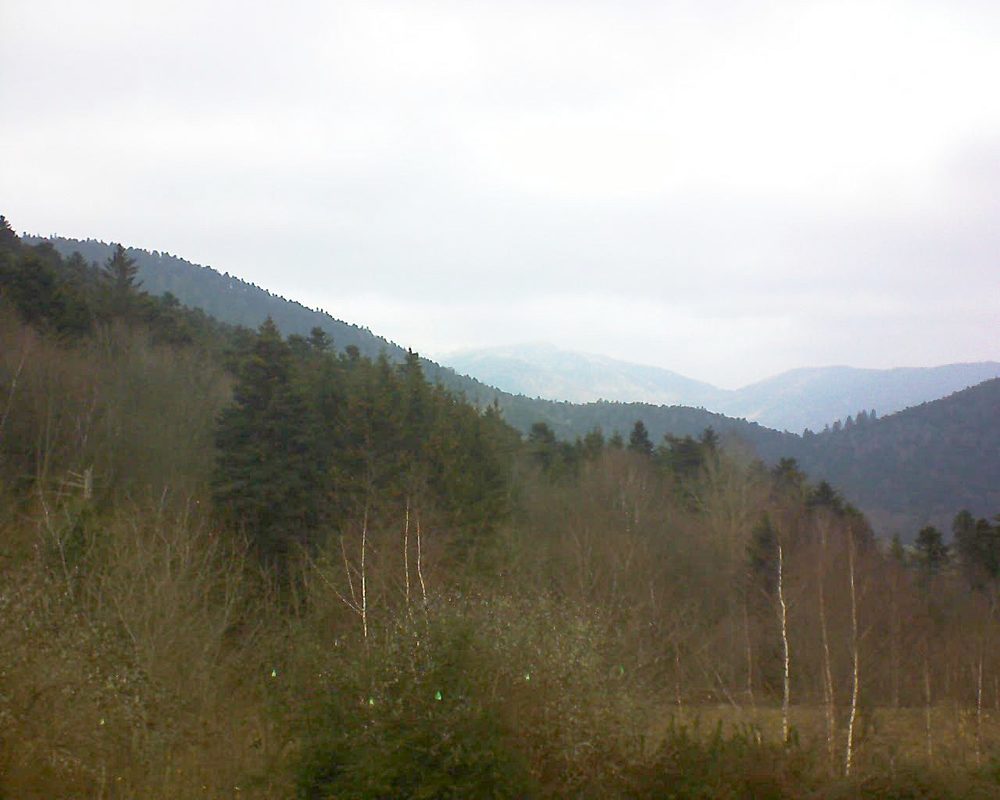 Le petit ballon vu depuis le Domaine Langmatt à Murbach le 15.12.2018 à 12:30 Le petit ballon (Alsace, Vosges) le 15.12.2018 à 12:30