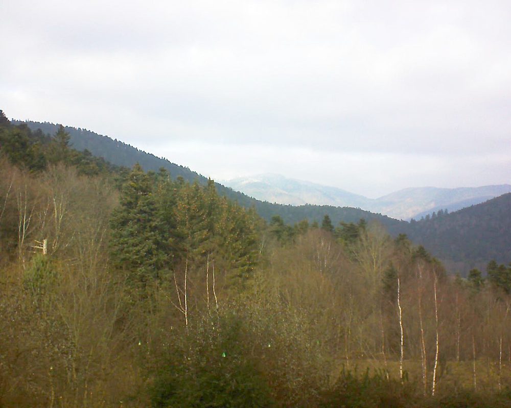 Le petit ballon vu depuis le Domaine Langmatt à Murbach le 15.12.2018 à 12:45 Le petit ballon (Alsace, Vosges) le 15.12.2018 à 12:45
