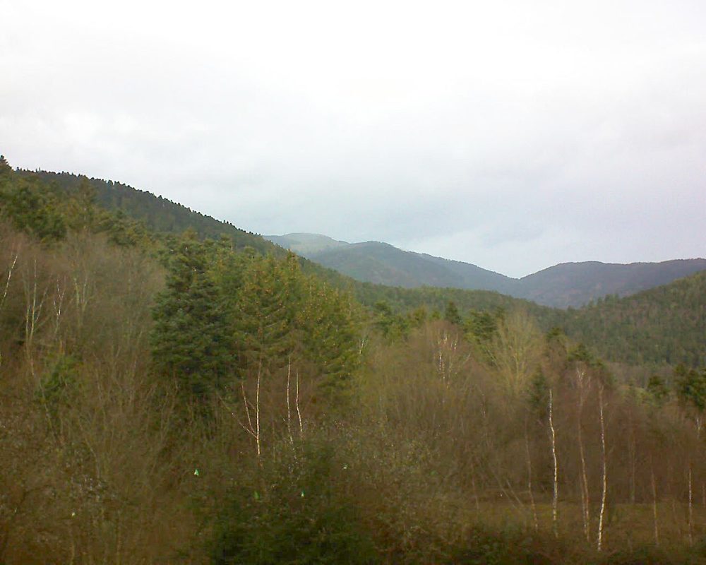 Le petit ballon vu depuis le Domaine Langmatt à Murbach le 22.12.2018 à 12:15 Le petit ballon (Alsace, Vosges) le 22.12.2018 à 12:15