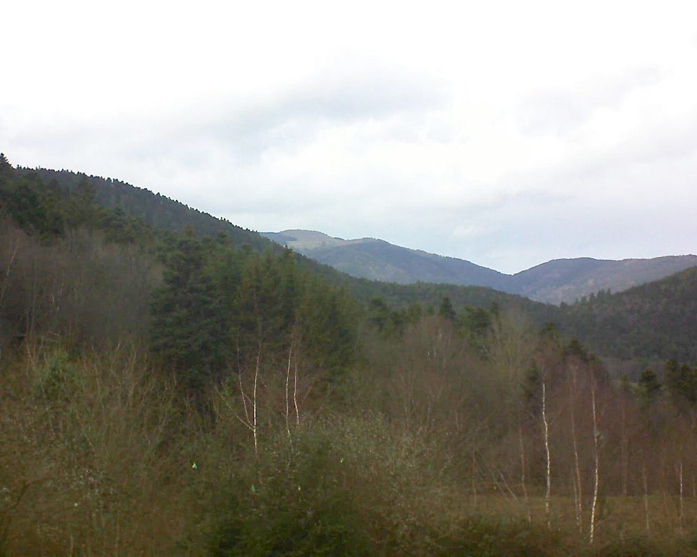 Le petit ballon vu depuis le Domaine Langmatt à Murbach le 22.12.2018 à 14:30 Le petit ballon (Alsace, Vosges) le 22.12.2018 à 14:30