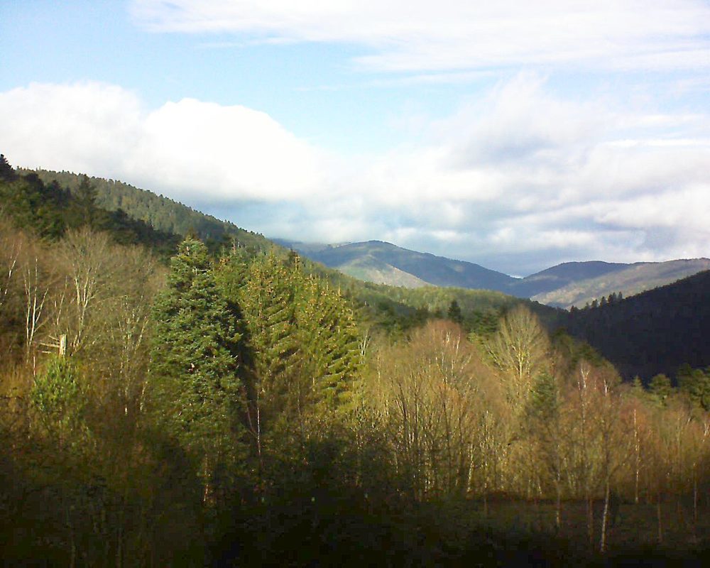 Le petit ballon vu depuis le Domaine Langmatt à Murbach le 01.01.2019 à 12:45 Le petit ballon (Alsace, Vosges) le 01.01.2019 à 12:45