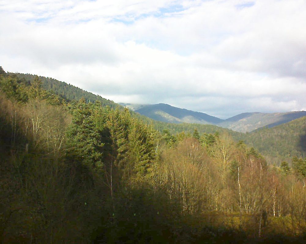 Le petit ballon vu depuis le Domaine Langmatt à Murbach le 01.01.2019 à 13:15 Le petit ballon (Alsace, Vosges) le 01.01.2019 à 13:15