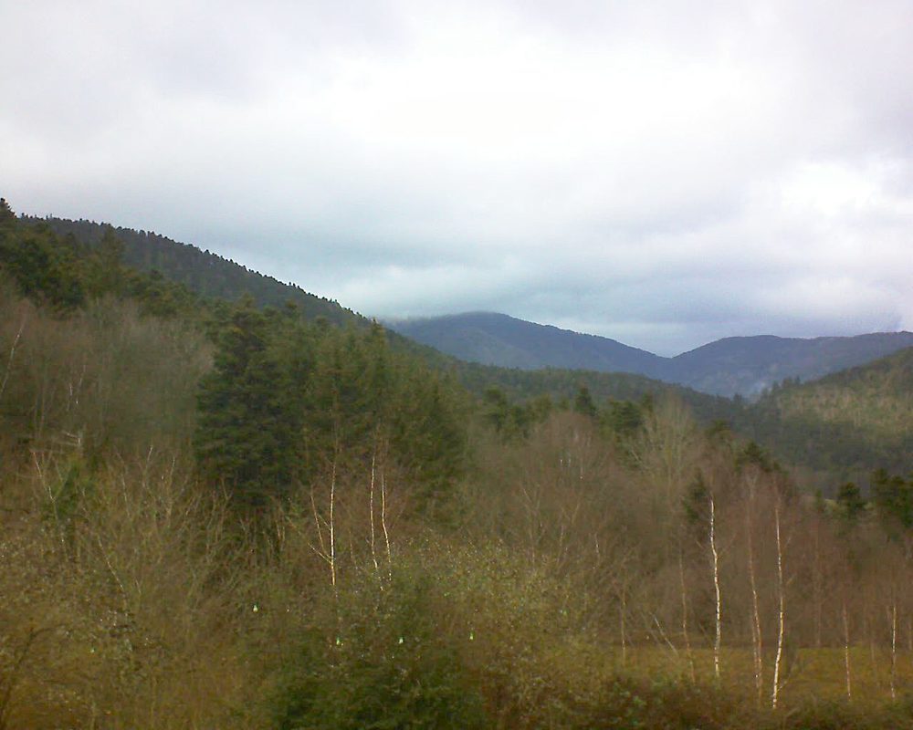 Le petit ballon vu depuis le Domaine Langmatt à Murbach le 01.01.2019 à 13:45 Le petit ballon (Alsace, Vosges) le 01.01.2019 à 13:45