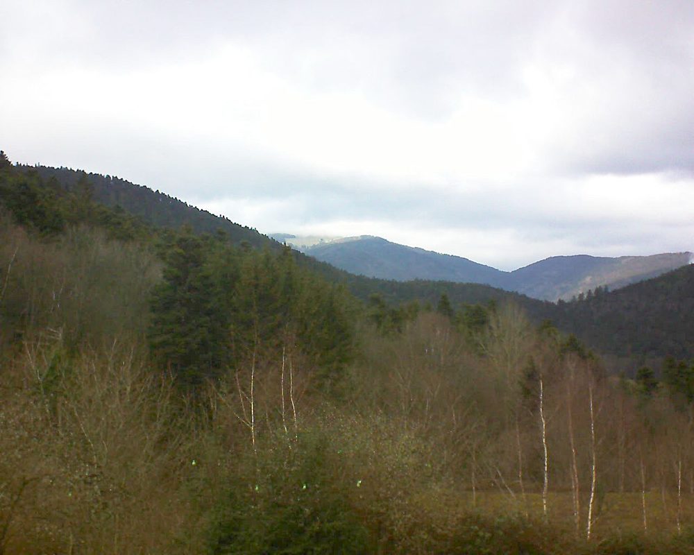 Le petit ballon vu depuis le Domaine Langmatt à Murbach le 01.01.2019 à 14:00 Le petit ballon (Alsace, Vosges) le 01.01.2019 à 14:00